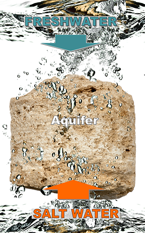 Graphic showing fresh water and salt water mixing in the aquifer